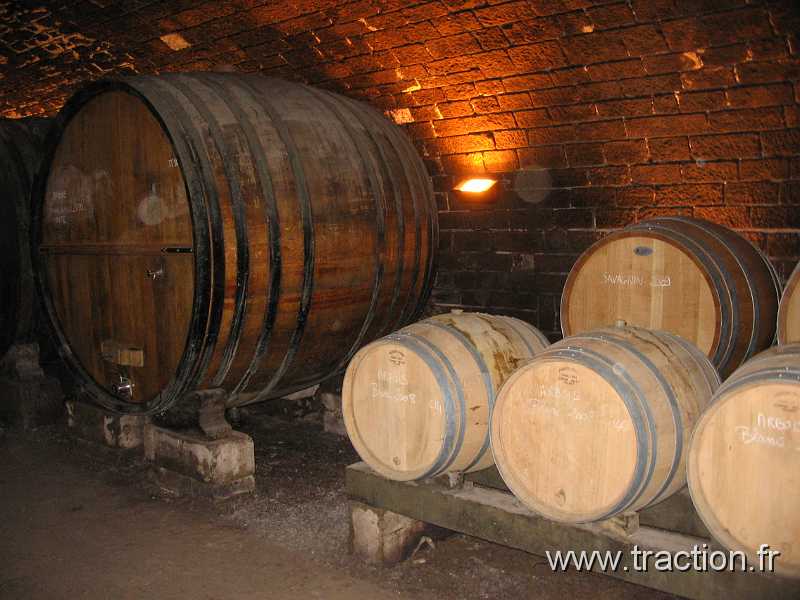 2011_CVAAM_35ans_15_Domaine_Viticole (24).JPG - 35 Ans du CVAAM, sortie dans le Doubs et le Jura, du 26 Avril au 1er Mai 2011, Le Domaine Viticole de la Pinte à Arbois